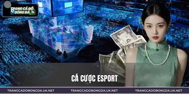 Cá Cược Esport 2026 | Xu Hướng Giải Trí Số Đang Bùng Nổ